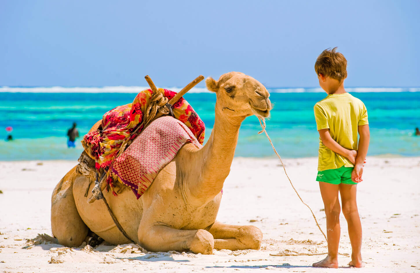 Un Nino Con Un Camello De Las Playa De Hurghada